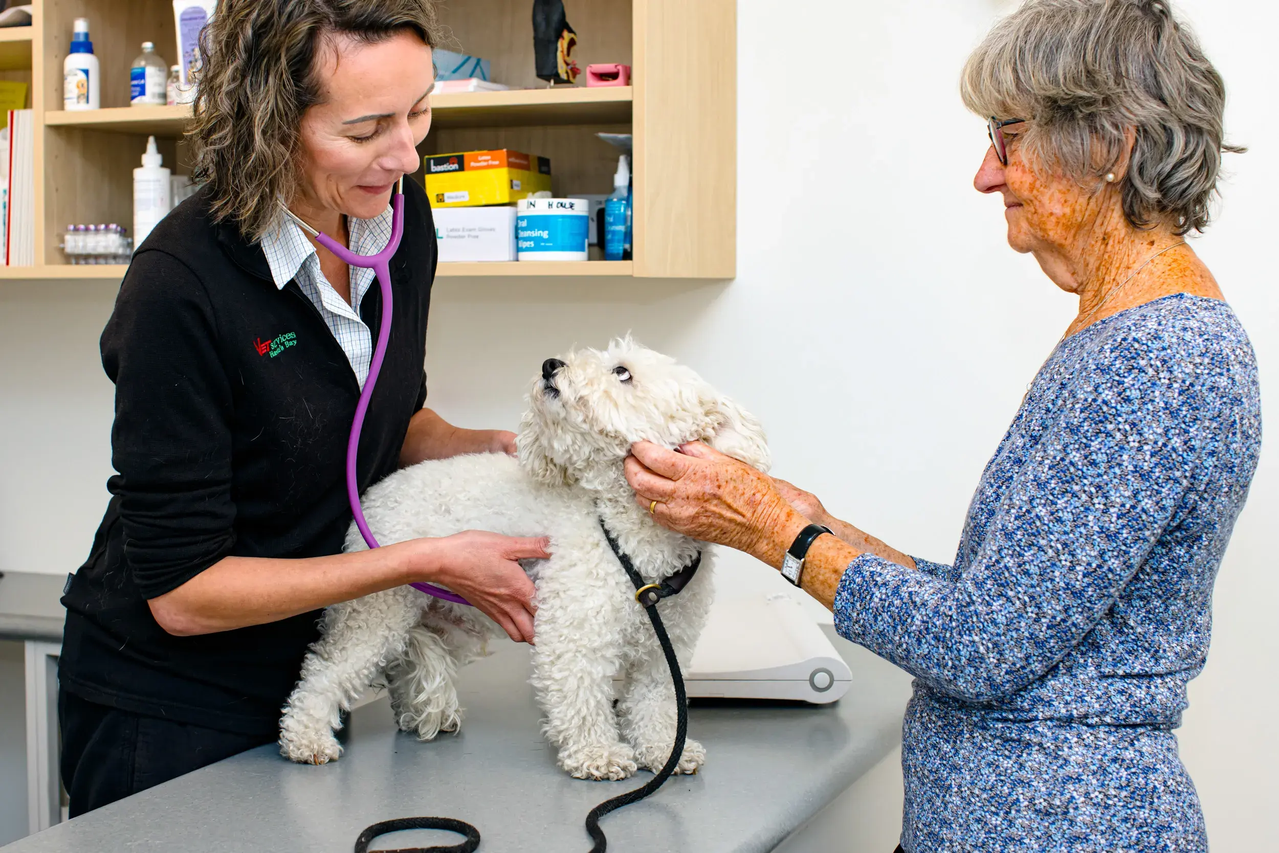 A veterinarian examining a small white dog while an elderly woman assists, highlighting Vet Services' improved communication solutions provided by Now NZ to manage their internet speed and connectivity needs.