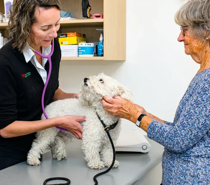 Veterinarian examining a small white dog held by an elderly woman in a veterinary clinic, illustrating Vet Services' long-term partnership and expansion supported by Now Business.